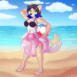anthro ball beach beach_ball bikini breasts clothed clothing cloud containment_nozzle diaper diaper_fetish female inflatable inflatable_diaper nozzle nozzle_on_belly pool_toy seaside sky solo swimwear two-piece_swimsuit wearing_diaper minettefraise animate_inanimate canid canine canis living_inflatable mammal wolf 1:1 hi_res