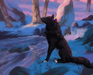 ambiguous_gender ambiguous_prey black_body black_fur black_tail blue_eyes day feral fur markings mouth_closed multicolored_ears outside plant rainbow_ears rock side_view sitting snow solo tail text tree white_markings msdeadsoul canid canine mammal 2021 artist_name dated