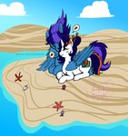 beach cuddling duo_focus group horn nuzzling seaside simple_background wings liechi hasbro my_little_pony mythology fan_character ambient_sealife ambient_starfish asterozoan echinoderm equid equine horse mammal marine mythological_creature mythological_equine pegasus pony starfish unicorn hi_res