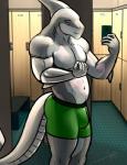 anthro athletic automail belly biceps biped blue_eyes bottomwear boxer_briefs bulge clothed clothing electronics flexing green_clothing green_underwear grey_body grey_skin gym holding_object holding_phone locker locker_room male metal muscular muscular_anthro muscular_arms pecs phone prosthetic scar selfie shorts solo spandex standing tight_clothing topless underwear bgn fish marine shark david_(disambiguation) digital_media_(artwork) hi_res