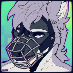 anthro blue_eyes crt fur grey_body grey_fur looking_at_viewer male muzzle_(object) muzzled solo chaos-reign cole_canine canid canine canis domestic_dog husky mammal nordic_sled_dog spitz 1:1 2024 absurd_res hi_res