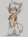 anthro arisel_uwu canid canine canis cannie clothing fur hair hi_res male mammal short_hair shy solo star_healer white_body white_fur white_velvet wolf young