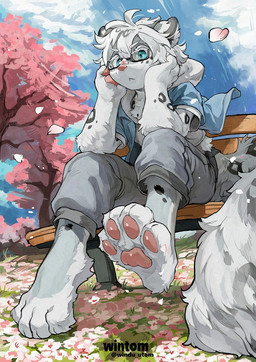 anthro barefoot bench blue_eyes bottomwear cherry_blossom clothed clothing eyewear feet flower fur glasses hair leopard_spots male on_bench outside pants pawpads paws plant prunus_(flower) shirt sitting sitting_on_bench solo spots tail text topwear tree wearing_glasses white_body white_fur wintom ren_(xenonwolf) felid mammal pantherine snow_leopard artist_name digital_media_(artwork) hi_res