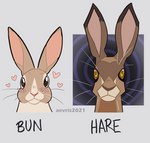 ambiguous_gender blush blush_lines duo feral front_view heart_symbol looking_at_viewer simple_background text aevris hare lagomorph leporid mammal rabbit 2021 english_text