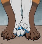 4_toes anthro blue_knee_pads claws dangling_doggystyle doggystyle duo feet female foot_focus from_behind_position front_view fur leg_focus male male/female offscreen_sex pawpads paws romantic sex toe_claws toes tatujapa azerai chelsea_chamberlain canid canine canis domestic_dog fox karelian_bear_dog mammal spitz 2024 hi_res