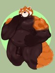 anthro belly big_belly big_chest big_pecs big_penis fur furry_ears furry_tail genitals male male/male pecs penis smile solo tail addicted_demon ailurid bear humanoid mammal red_panda hands 3:4 hi_res