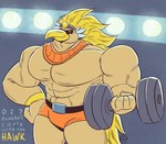 anthro armband beak black_eyes blonde_hair clothed clothing dumbbell hair hand_on_hip lifting_object male muscular muscular_male orange_clothing orange_underwear pupils scarf solo tail underwear underwear_only weights yellow_beak yellow_pupils yellow_tail jasperthecrab mario_bros nintendo paper_mario paper_mario:_the_thousand_year_door rawk_hawk accipitrid accipitriform avian bird hi_res