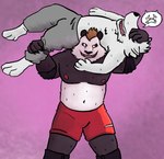 anottermasked anthro arkulus backbreaker barazoku bear big_vs_small canid canine canis domestic_dog duo male male/male mammal muscular submission_hold torture_rack_(wrestling_move) wolf wrestling