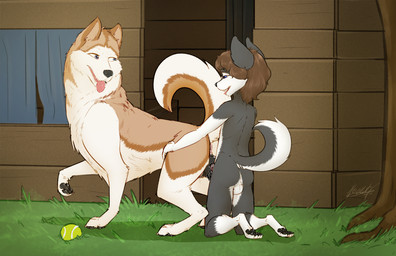 age_difference animal_genitalia animal_vulva anthro anthro_on_feral anthro_penetrating anthro_penetrating_female anthro_penetrating_feral anus ball balls bestiality bodily_fluids canine_genitalia canine_vulva detailed_background duo female female_on_anthro female_penetrated feral feral_penetrated fur genital_fluids genitals grass intraspecies intraspecies_bestiality larger_female larger_feral larger_penetrated looking_back male male/female male_on_feral male_penetrating male_penetrating_female male_penetrating_feral older_female older_feral older_penetrated open_mouth penetration penile penile_penetration penis penis_in_vagina plant sex shota size_difference smaller_anthro smaller_male smile teeth tennis_ball tongue tongue_out vaginal vaginal_fluids vaginal_penetration vulva young young_anthro young_male younger_anthro younger_male poulet-7 cole_(colesutra) canid canine canis domestic_dog mammal hi_res