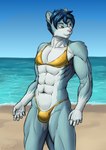 abs anthro beach bikini blue_hair bulge clothing day detailed_background gold_bikini gold_clothing gold_swimwear hair light looking_away male muscular muscular_male orange_eyes sand seaside sky smile solo standing sunlight swimwear two-piece_swimsuit water za-owl riku_(za-owl) felid mammal pantherine snow_leopard absurd_res hi_res