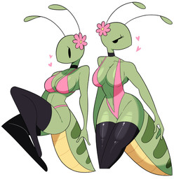 antennae_(anatomy) anthro arthropod_abdomen bedroom_eyes breasts choker cleavage clothed clothing female female_anthro flower green_body heart_symbol jewelry narrowed_eyes necklace plant seductive simple_background solo tail thick_thighs idolomantises papaya_(idolomantises) arthropod grasshopper insect orthopterid 2023 absurd_res hi_res