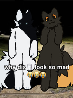 3_toes :3 ambiguous_gender angry anthro arm_tuft big_ears big_tail biped black_body black_claws black_ears black_eyes black_fur black_nose black_tail blue_eyes cheek_tuft claws container crying_emoji dialogue digitigrade dipstick_tail duo emoji facial_tuft feet finger_claws fluffy fluffy_tail fur glass glass_container glass_of_milk glowing glowing_eyes grass happy leg_tuft markings medium_truck milk milk_container night nude ominous orange_body orange_fur orange_sclera orange_tail_tip outside photo_background plant pose shadow_face shitpost shoulder_tuft sidewalk species_in_dialogue standing street tail tail_markings tail_on_ground text toes truck tuft van vehicle white_body white_claws white_ears white_fur white_tail white_text ir0sucks casualties:_unknown gunsaw tiktok why_dis_look_so_mad_(meme) canid canine expie_(gunsawian) fox gunsawian hybrid mammal milky_(gunsawian) murid murine rat rodent 2026 adobe_photoshop_(artwork) colored digital_drawing_(artwork) digital_media_(artwork) english_text meme mixed_media photo_manipulation photography_(artwork) portrait