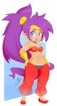 blue_eyes breasts choker ear_piercing ear_ring female hair hand_on_hip humanoid_pointy_ears jewelry looking_aside navel necklace not_furry open_mouth piercing pointy_ears purple_hair ring_piercing solo standing mirrorreach shantae_(series) wayforward shantae genie humanoid 2019 absurd_res hi_res