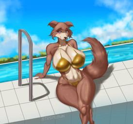 anthro big_breasts bikini bodily_fluids breasts brown_body clothing female gold_bikini huge_breasts looking_at_viewer outside purple_eyes sitting sky solo sweat swimming_pool swimwear tail thick_thighs thighs_together two-piece_swimsuit wet wide_hips sunstripe beastars golden_week juno_(beastars) canid canine canis mammal wolf absurd_res hi_res tagme