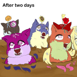 accessory ambiguous_gender blank_stare blonde_hair blue_eyes brown_body brown_fur buried buttercup_(flower) calla_lily corpse dirt eye_roll feral flower flower_in_hair flower_on_head fur grey_eyes group hair hair_accessory open_mouth orange_body orange_fur parasite pink_eyes plant purple_body purple_fur red_body red_fur rose_(flower) species_transformation sunflower teeth text transformation young young_ambiguous young_feral yellowcottoncandy030 fluffy_pony gypsophila fluffy_pony_(species) mammal 1:1 digital_media_(artwork) english_text hi_res