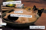 ambiguous_gender book bowl cats_are_liquid container dream feral humor looking_at_viewer real solo text what unknown_artist calico_cat domestic_cat felid feline felis mammal tabby_cat collage_(artwork) english_text grandfathered_content hi_res image_macro meme mixed_media