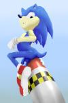 anal anal_penetration anthro balls explosive_insertion genitals half-erect male missile penetration penis simple_background solo a2 sega sonic_the_hedgehog_(series) sonic_the_hedgehog eulipotyphlan hedgehog mammal 2:3