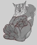 5_toes ambiguous_gender anthro feet fluffy foot_focus inner_ear_fluff looking_at_viewer pawpads paws solo toes tuft snowskau felid mammal tetton 2023 greyscale hi_res monochrome