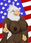 american_flag anthro beak big_breasts blue_eyes breasts brown_nipples feathered_wings feathers female flag happy navel nipples non-mammal_breasts non-mammal_nipples nude pose solo star stripes united_states_of_america wings world_war_2 droll3 janine_(droll3) accipitrid accipitriform avian bald_eagle bird eagle sea_eagle 2013 hi_res