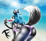 anthro beach bent_over bikini black_body black_fur blue_eyes blue_hair bra breasts butt clothed clothing cloud female frisbee fur grey_body grey_fur hair looking_at_viewer looking_back outside raised_tail sand seaside sky solo swimwear tail teeth two-piece_swimsuit underwear water white_body white_fur tailzkim hanul canid canine canis domestic_dog husky mammal nordic_sled_dog spitz 2015 digital_media_(artwork) hi_res