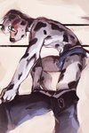 anthro black_body black_fur black_spots blush bottomwear bulge clothing eyewear fur glasses male markings musk musk_clouds open_mouth pants solo spots spotted_body spotted_fur surprise underwear undressing white_body white_fur supplesee canid canine canis dalmatian domestic_dog mammal hi_res