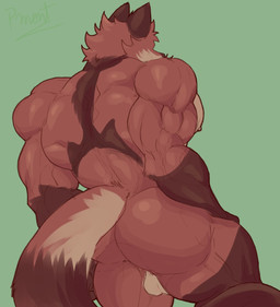 anthro back_muscles balls barazoku biceps butt deltoids fur genitals green_background male muscular muscular_anthro muscular_male nipples rear_view red_body red_fur simple_background solo tail triceps pinumontbalou kemo_coliseum lambert_(kemo_coliseum) canid canine canis fox mammal red_fox true_fox hi_res