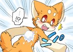 ambiguous_gender anthro countershading dialogue fangs fur kemono looking_back motion_lines orange_body orange_fur snow snowball snowball_fight solo surprise surprised_expression teeth text ayaka kyappy canid canine canis domestic_dog mammal shiba_inu spitz japanese_text female_(lore)