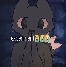 ambiguous_gender anthro black_body black_fur black_nose bodily_fluids cheek_tuft clasped_hands emoji eyebrows facial_tuft fur grey_body grey_fur looking_at_viewer orange_body orange_fur orange_sclera praying_hands pupils simple_coloring simple_nose solo tail tears text tuft unknown_artist casualties:_unknown expie_(gunsawian) gunsawian humanoid mammal digital_drawing_(artwork) digital_media_(artwork) english_text meme reaction_image shaded simple_shading