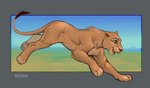 blue_eyes female feral fur muscular muscular_feral nude open_mouth running simple_background solo tail teeth conditional_dnp tgt1512 disney the_lion_king nala_(the_lion_king) felid lion mammal pantherine digital_media_(artwork) sketch