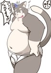 anthro belly blush bodily_fluids briefs bulge clothing kemono male moobs navel overweight overweight_anthro overweight_male simple_background solo sweat text tighty_whities underwear white_background white_briefs white_clothing white_underwear armadirou domestic_cat felid feline felis mammal 2020 hi_res japanese_text