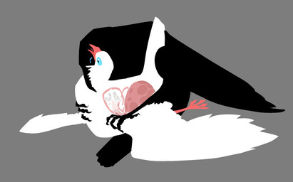 ambiguous_gender beak big_penis bite blue_eyes bodily_fluids claws cum cum_inside duo feathers feral feral_on_feral feral_penetrated feral_penetrating feral_penetrating_feral genital_fluids genitals holding_another holding_chest holding_wing male male/ambiguous neck_bite open_mouth penetration penile penile_penetration penis sex tongue x-ray_view einin avian bird columbid corvid oscine passerine 2026