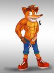 anthro clothed clothing genitals humanoid_genitalia humanoid_penis male muscular muscular_anthro muscular_male nipples penis solo raven2dx activision crash_bandicoot_(series) crash_bandicoot bandicoot mammal marsupial absurd_res hi_res