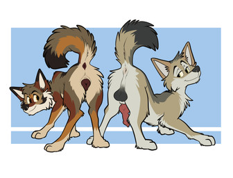 anatomically_correct anatomically_correct_genitalia animal_genitalia animal_penis animal_vulva anus balls butt canine_genitalia canine_penis canine_vulva duo erection female feral feral_on_feral food genitals knot knot_root knotted_penis looking_at_viewer male male/female penis presenting presenting_anus presenting_balls presenting_hindquarters presenting_penis presenting_vulva raised_tail sheath tail take_your_pick vulva koidelcoyote yops_(psychedelicyops) canid canine canis coyote mammal absurd_res hi_res