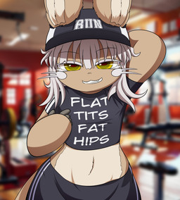 anthro blurred_background clothing female flat_chested front_view fur gesture gym hair hand_gesture hat headgear headwear looking_at_viewer photo_background pointing pointing_at_self shirt smug_face solo tan_body tan_fur text text_on_clothing text_on_shirt text_on_topwear topwear whiskers white_hair yellow_eyes smugbuns made_in_abyss nanachi lagomorph leporid mammal narehate rabbit absurd_res digital_media_(artwork) english_text hi_res meme photography_(artwork)