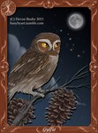 ambiguous_gender brown_body brown_feathers feathers feral moon night pinecone plant sky solo star tree yellow_eyes bubsyart guardians_of_ga'hoole gylfie avian bird elf_owl owl true_owl 2013 hi_res female_(lore)