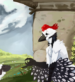 anthro beak black_body black_eyes black_feathers black_fur claws cloud day duo feathered_wings feathers feral flower fur grass hair looking_at_another male outside plant red_body red_feathers red_hair sad sky solo solo_focus tail tail_feathers tuft white_body white_feathers white_fur wings wool_(fur) ibisi layvan avian bird bovid caprine mammal picid sheep woodpecker 2026 absurd_res digital_media_(artwork) hi_res