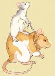 ambiguous_gender chain chain_leash duo feral fur leash orange_body orange_fur white_body white_fur ziggy_(artist) mammal murid murine rat rodent 2013