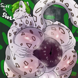 anthro anus balls big_anus big_balls big_butt blush blush_lines butt genitals huge_anus huge_butt hyper hyper_anus hyper_butt hyper_genitalia male musk musk_cloud musky_anus musky_balls musky_butt presenting presenting_anus presenting_hindquarters puffy_anus smug solo spread_butt spreading tail genjii jurgen felid mammal pantherine snow_leopard absurd_res hi_res
