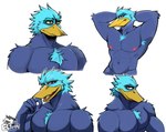 abs anthro armpit_hair beak blue_body blue_feathers body_hair chest_tuft eyebrows feathers front_view looking_at_viewer male multiple_poses muscular muscular_anthro muscular_male nipples non-mammal_nipples nude pecs pose shirtless solo thick_eyebrows tuft elfein chaotic antidaeon anatid anseriform avian bird duck bust_portrait portrait