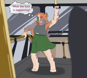 ambiguous_gender anthro armpit_hair body_hair bottomwear bus clothed clothing commercial_vehicle dress feet female fur grabbing grey_body grey_fur orange_body orange_fur profanity public public_transportation skirt solo standing surprised text topwear vehicle white_body white_fur noe_meows calico_cat domestic_cat felid feline felis mammal digital_media_(artwork) english_text hi_res trans_(lore) trans_woman_(lore)