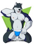 anthro biceps blue_body blue_clothing blue_fur blue_jockstrap blue_underwear bulge clothed clothing fur grey_body hair jockstrap jockstrap_only kneeling looking_at_viewer male muscular muscular_anthro muscular_male nipples one_eye_closed open_mouth pecs simple_background solo tail tongue tongue_out topless underwear underwear_only white_body wink sabercundo colby_(husky) canid canine canis domestic_dog husky mammal nordic_sled_dog spitz absurd_res hi_res