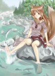 barefoot breasts brown_eyes brown_hair dipstick_tail feet female hair hindpaw humanoid_feet markings paws plantigrade river soles solo tail tail_markings water wolf_tail sukua spice_and_wolf holo_(spice_and_wolf) animal_humanoid canid canid_humanoid canine canine_humanoid canis fish humanoid mammal mammal_humanoid marine wolf wolf_humanoid