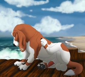 animal_genitalia animal_penis anthro balls beach black_nose blue_sky brown_body brown_fur canine_genitalia canine_penis cloud eyes_closed feral floppy_ears fur genitals male outside penis penis_tip red_penis scratching seaside sheath side_view sky solo unsigned white_balls white_body white_fur white_sheath unbreakable-warrior canid canine canis domestic_dog mammal