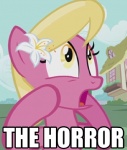 accessory female feral flower flower_in_hair hair hair_accessory plant solo text the_horror unknown_artist friendship_is_magic hasbro my_little_pony lily_(mlp) earth_pony equid equine horse mammal pony english_text grandfathered_content image_macro impact_(font) meme reaction_image