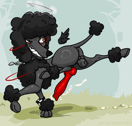 animal_genitalia animal_penis anus balls bracelet canine_genitalia canine_penis cum_trail ejaculation eyebrows feral floating_wings genitals glare halo jewelry knot male necklace one_leg_on_ground penis raised_eyebrow running saggy_balls sharp_teeth solo teeth toothy_grin unusual_anatomy unusual_wings wings perpetuate303 soot_(perpetuate303) canid canine canis domestic_dog mammal poodle