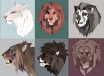 ambiguous_gender blue_background blue_eyes brown_body brown_eyes brown_fur brown_mane cheek_tuft facial_tuft fangs feral front_view fur green_background grey_background grey_body grey_eyes grey_fur grey_mane looking_aside looking_at_viewer mane mouth_closed orange_body orange_fur red_background red_sclera side_view simple_background solo tan_sclera teeth tuft whiskers white_body white_eyes white_fur yellow_sclera blackscour felid lion mammal pantherine headshot_portrait multiple_images portrait