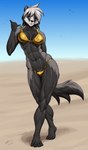 abs anthro athletic athletic_anthro athletic_female bikini black_body black_fur black_hair black_nose blue_eyes breasts clothing female fur gold_bikini grey_body grey_fur hair long_hair looking_at_viewer midriff sand simple_background sky smile solo standing swimwear tail teeth two-piece_swimsuit white_body white_fur white_hair za-owl susan_(za-owl) badger mammal mustelid musteline 2025 absurd_res chromatic_aberration digital_drawing_(artwork) digital_media_(artwork) hi_res