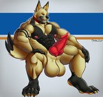 animal_genitalia animal_penis anthro balls big_balls big_muscles big_penis canine_genitalia canine_penis cocky erection fur genitals huge_balls huge_muscles knot male markings muscular muscular_anthro muscular_male paws penis pose sheath smile smirk solo tan_body tan_fur osahar_cat solarum canid canine canis jackal mammal colored hi_res