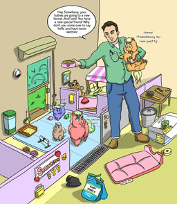 ambiguous_feral ambiguous_gender animal_genitalia animal_penis baby_talk bag ball balls bed black_hair blonde_hair blue_bottomwear blue_clothing blue_eyes blue_pants bodily_fluids bottomwear bowl brown_clothing brown_footwear brown_shoes brush clothed clothed_human clothing container cushion dialogue drooling eyelashes feral food footwear frown fully_clothed fur furniture genitals grass green_clothing green_hair green_shirt green_tail green_topwear grey_body grey_fur grey_hair grey_tail group hair hairbrush holding_another holding_food holding_object hungry inside key kibble light_body light_skin litter_box looking_at_object male male_feral male_human neonate orange_body orange_fur pants pasta penis pet_bowl pet_food plant purple_body purple_eyes purple_fur red_body red_fur sad saliva shirt shoes smile spaghetti speech_bubble standing tail text topwear toy_block trash_bag trash_can underwear water white_clothing white_underwear yellow_tail young young_ambiguous young_feral young_male carpdime fluffy_pony blueberry_(fluffy_pony) fluffy_pony_(species) human mammal digital_media_(artwork) english_text hi_res