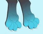 4_toes ambiguous_gender anthro barefoot claws curling_toes feet foot_shot hindpaw paws soles solo toe_claws toe_wiggle toes wiggle mituni_(artist) mythology xero_(captainscales) dragon mythological_creature mythological_scalie scalie 2d_animation animated hi_res short_playtime